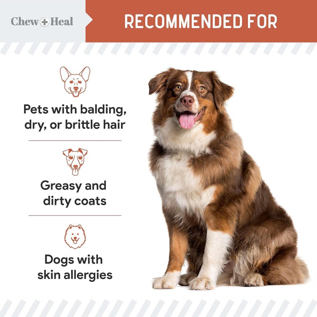 Fish Oil Omega 3 Supplements for Dogs -360 Soft Chew Treats for Skin and Coat -Salmon Oil Blend of Fatty Acids, Omega 3, 6, Vitamins, Antioxidants -Made in USA (2 Packs of 180, Salmon Flavor)