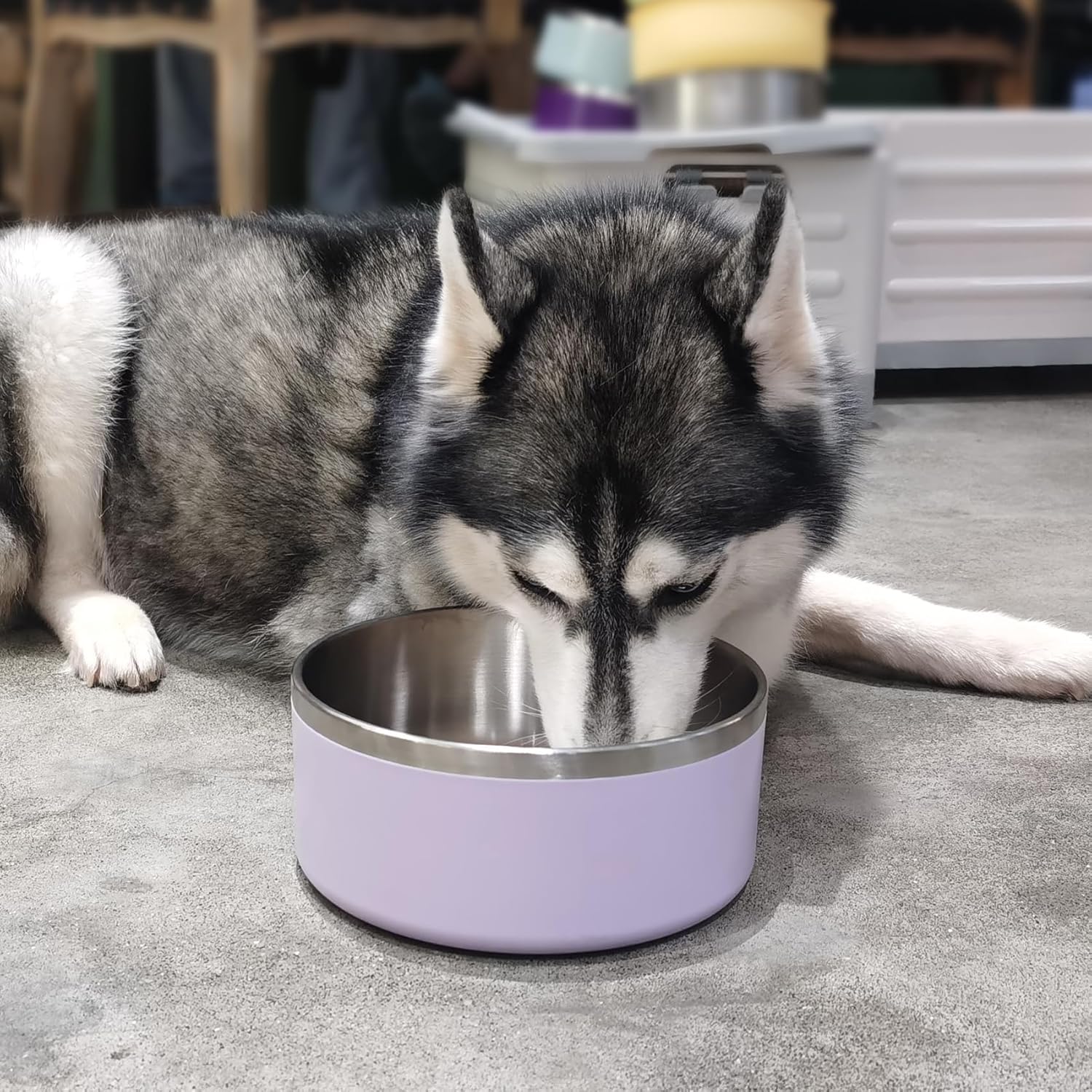 Stainless Steel Dog Bowls, Metal Dog Bowls, Water Bowl for Dogs, Dog Food Bowls, Pet Bowls for Dogs, Dog Dish for Large Dogs, Insulated Dog Bowl, Non Slip Dog Bowl,Easy Clean,64oz,LightPurple