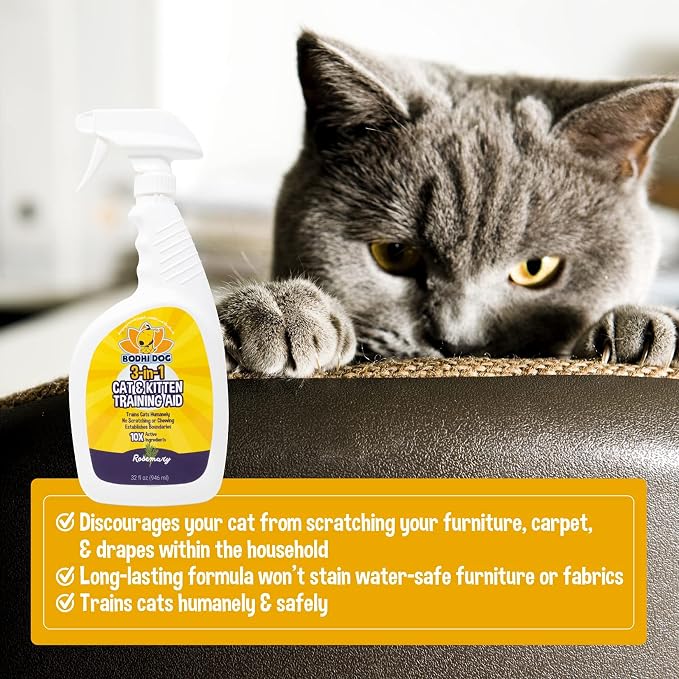 Bodhi Dog 3-in-1 Cat & Kitten Training Aid - Image 3