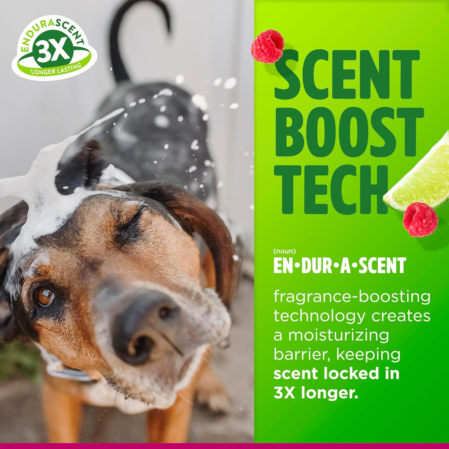 TropiClean Deodorizing Dog Shampoo, Powerful Odor Control, Long-Lasting Raspberry Lime Scent, Puppy Safe, Made in The USA, Cat Friendly, 20oz.