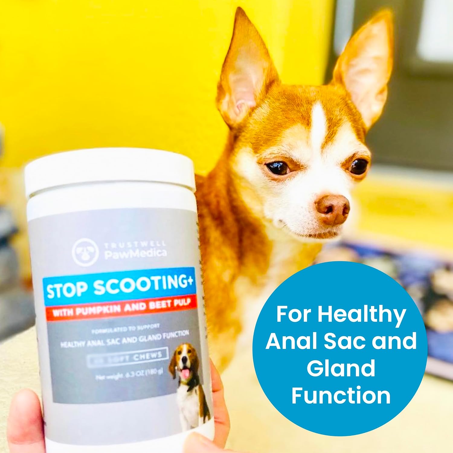 PawMedica Dog Anal Gland Chews to Stop Scoot for Dogs - Anal Gland Dog Constipation Relief - Recommended Dog AnalGland Support Chews Fiber - Fiber Supplement for Dogs (120 Dog Pumpkin Chews)