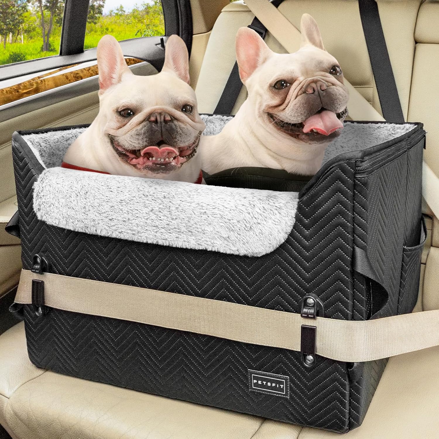PETSFIT Dog Car Seat Medium Sized Dog, Waterproof PU Leather Dog Seat for Car with Patented Safe Buckles, 2 Clip-On Safety Leashes, Suitable for 2 Small Dogs (Medium, Black)