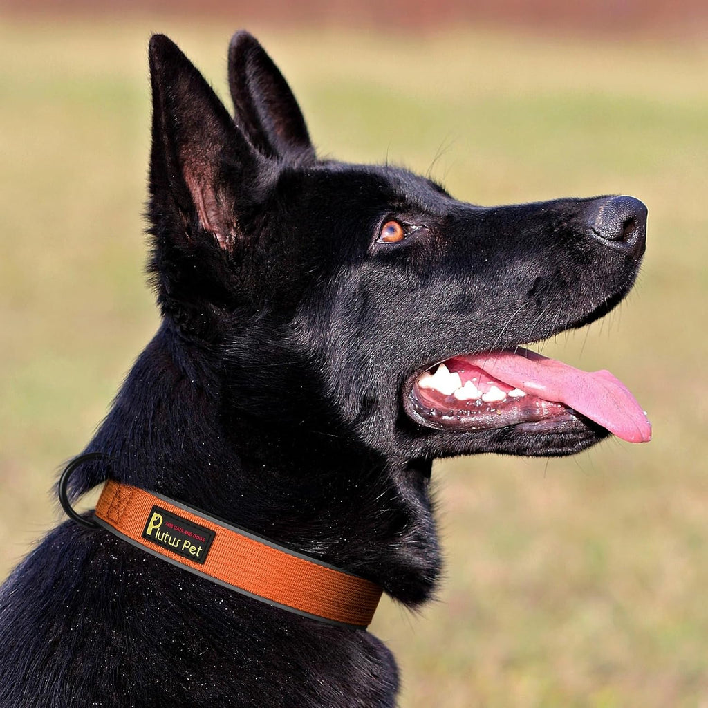 Plutus Pet Tactical Dog Collar, Reflective, Adjustable Heavy Duty Dog Collar, Soft Padded and Comfortable, for Small Medium and Large Dogs (Orange, L)