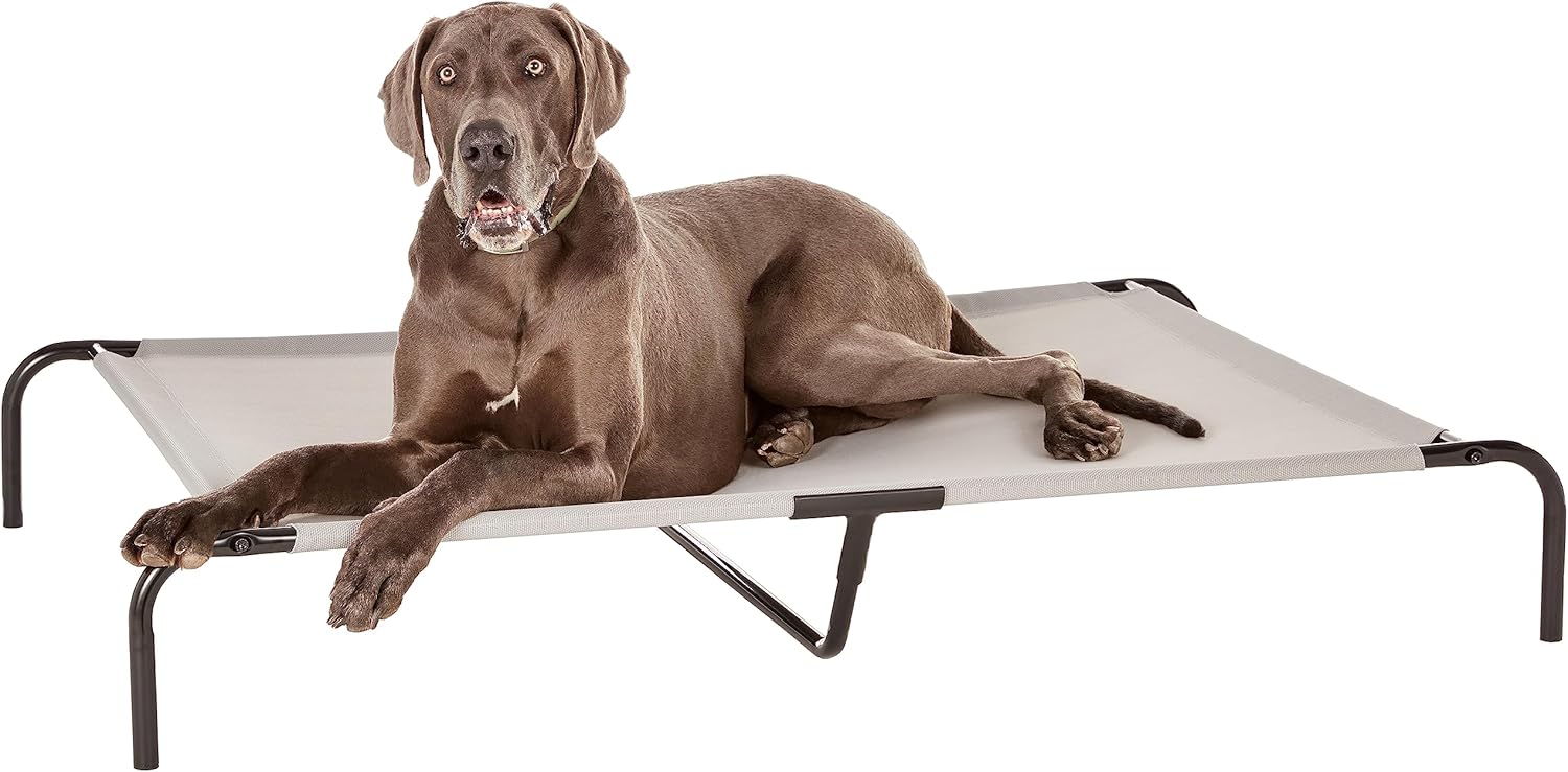 Amazon Basics Cooling Elevated Breathable Pet Bed For Dog, X-Large (60.1 x 37.1 x 8.9 Inches), 1 count, Grey