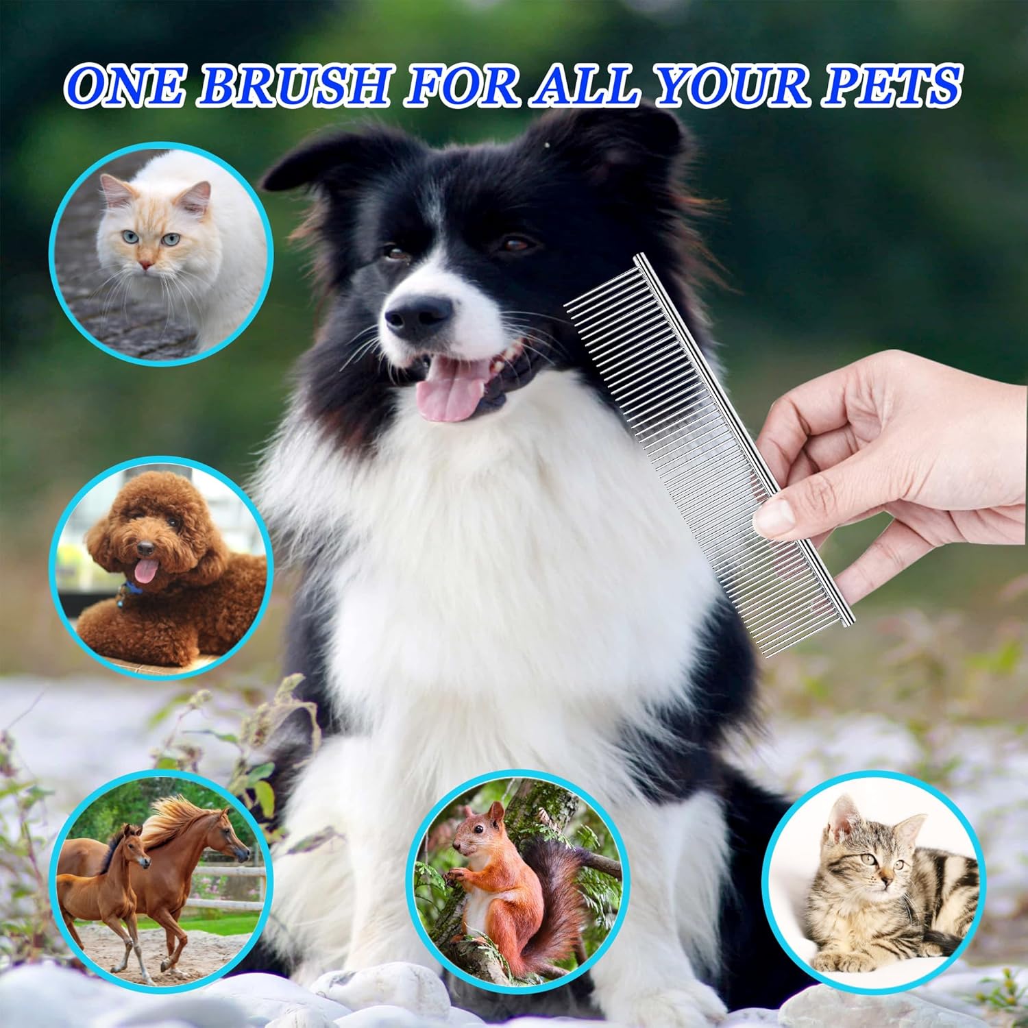 Dog Comb and Cat Combs Stainless Steel Teeth, Grooming Tool for Long & Short Hair, Dematting Comb for Dogs, Removes Tangles & Knots (Large Silver)