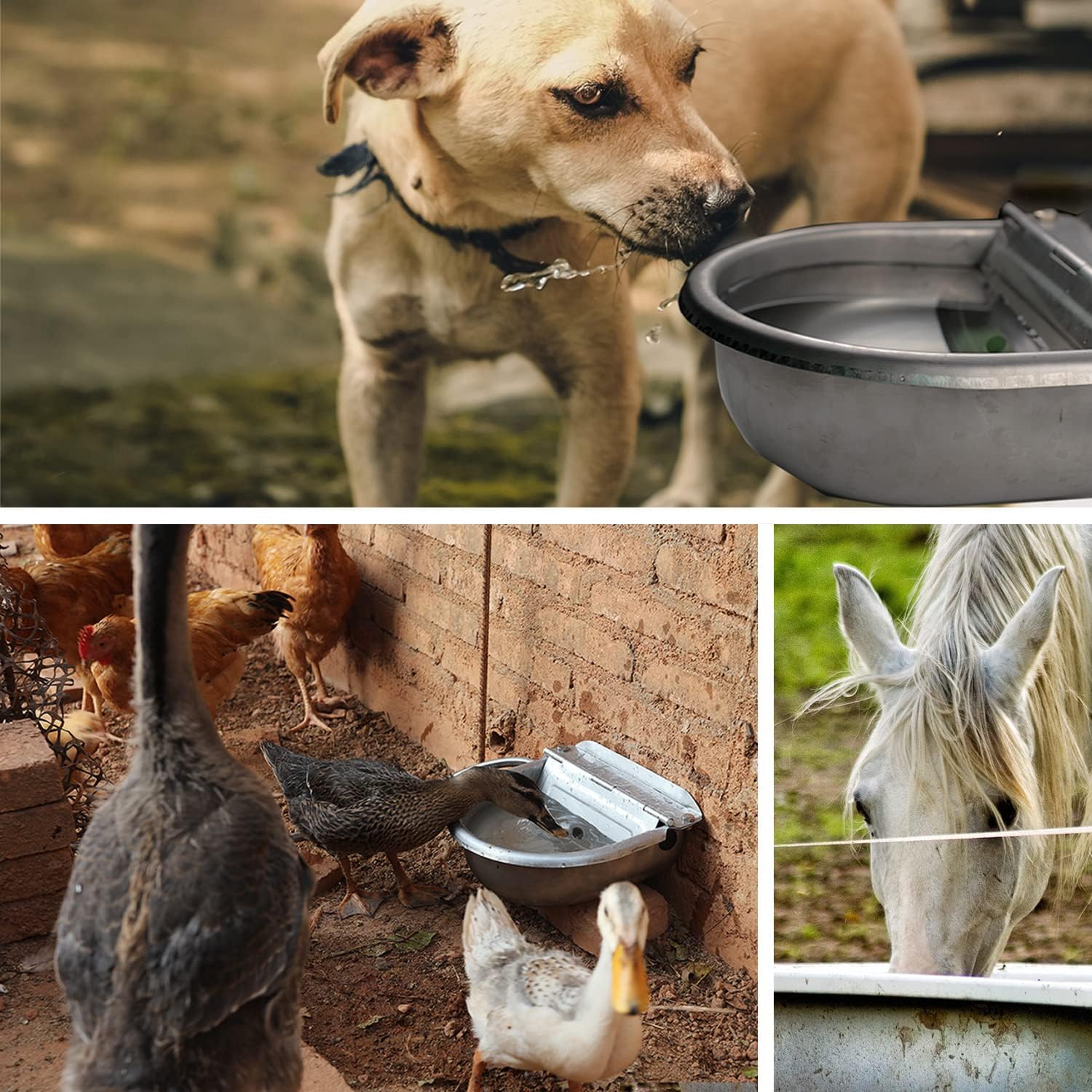 Automatic Water Dispenser for Dog Water Bowl Dispenser Large Size Stainless-Steel Waterer Feeder Self Filling Water Trough for Poultry and Livestock (Stainless Steel, Large)