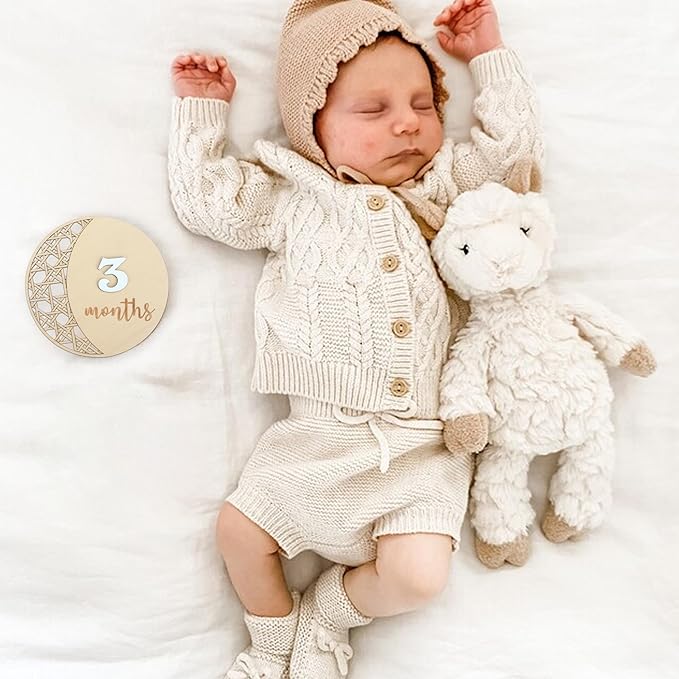 Daisy 3D Baby Monthly Milestone, Wooden Baby Milestone Signs, Monthly Milestone Wood Discs, Baby Milestone Discs (Moon)