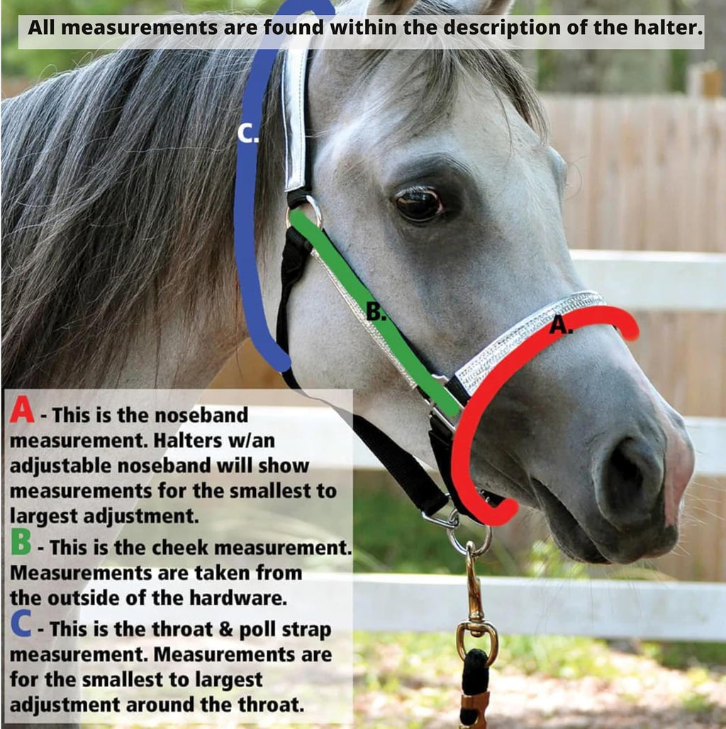 Jeffers Equine Mini Horse Halter – 3/4" Nylon Adjustable Halter for Miniature Horses, Ponies, Under 200 lbs – Heavy Duty Hardware, Secure Fit for Training, Turnout, Grooming, Travel – Black