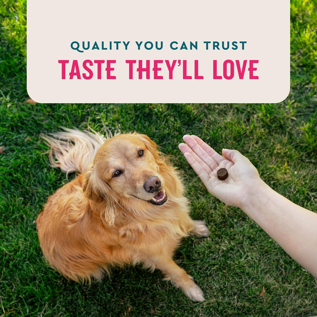 VetIQ Multivitamin Supplement for Dogs, Supports Active Brain Function, Immune System, and Digestive System, Hickory Smoke Flavored Dog Multivitamin, Made in The USA, 60 Count