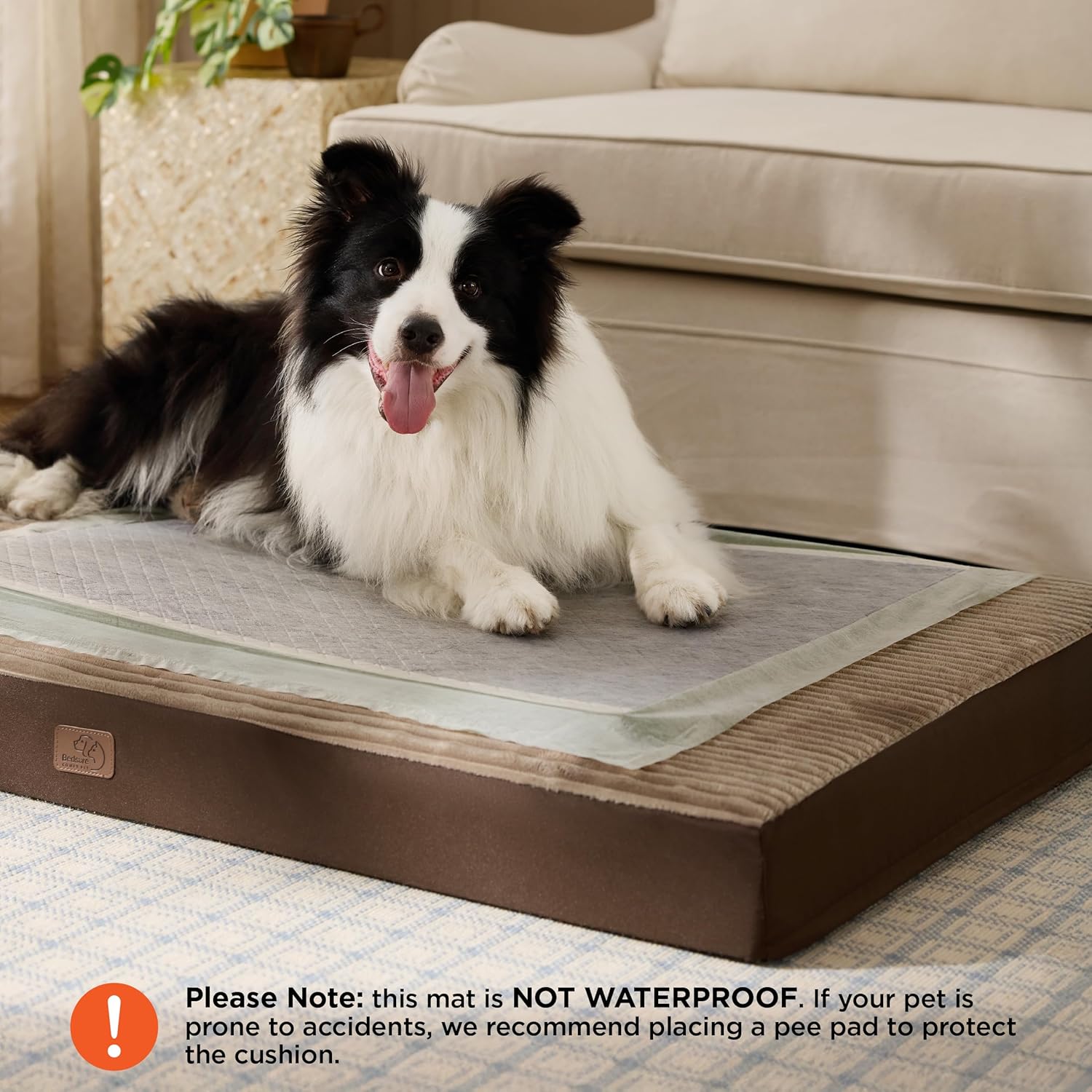 Bedsure Dog Beds Large Sized Dog- Orthopedic Pet Beds with Removable Machine Washable Cover, Egg Crate Foam Puppy Pad, Suitable for Pet Up to 50 lbs, 35"x22"