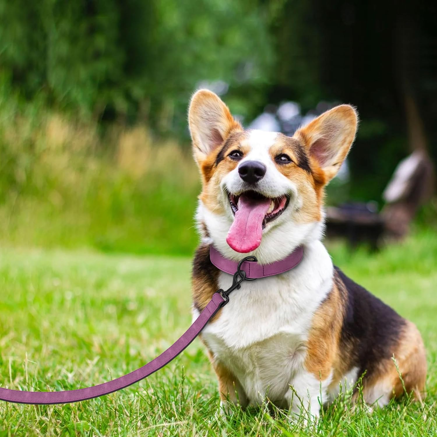Didog Soft Padded Leather Dog Collar and Leash Set, Heavy Duty Dog Leash and Collar Set with Metal Buckle, Breathable Dog Collars with 4FT Leather Dog Leash for Small Medium Large Dogs, Purple, M