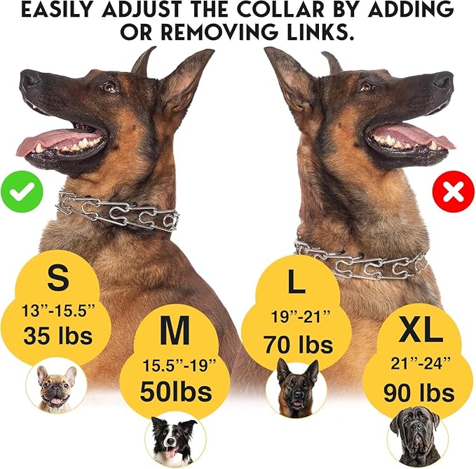 PetJett Prong Collar for Dogs - Image 7