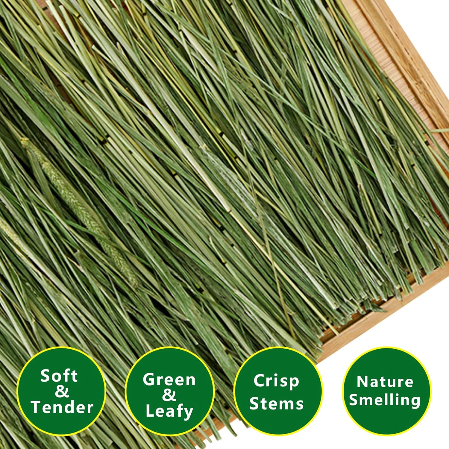Timothy Hay Premium Hay for Rabbits Guinea Pig Chinchilla- Natural Fresh Hay Hand Selected 6.6LBS (1.1lbs, 6 Pack)