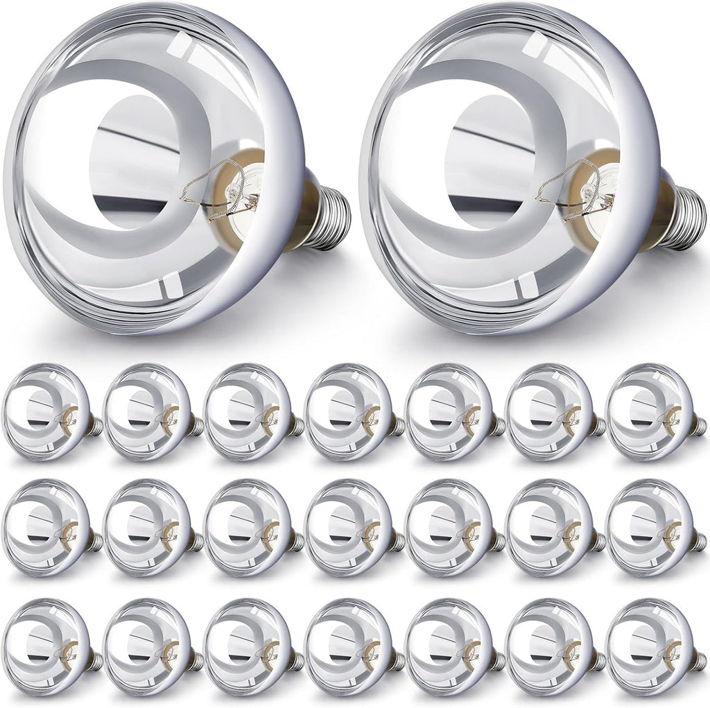 VIHOSE 24 Pack 250 Watt Heat Lamp 120v R40 Heat Lamp Bulbs Glass Incandescent Light Bulbs Incandescent Heating Lightbulbs for Reptiles Chicks Food Puppies Bathroom, Use E26 Base (Silver)