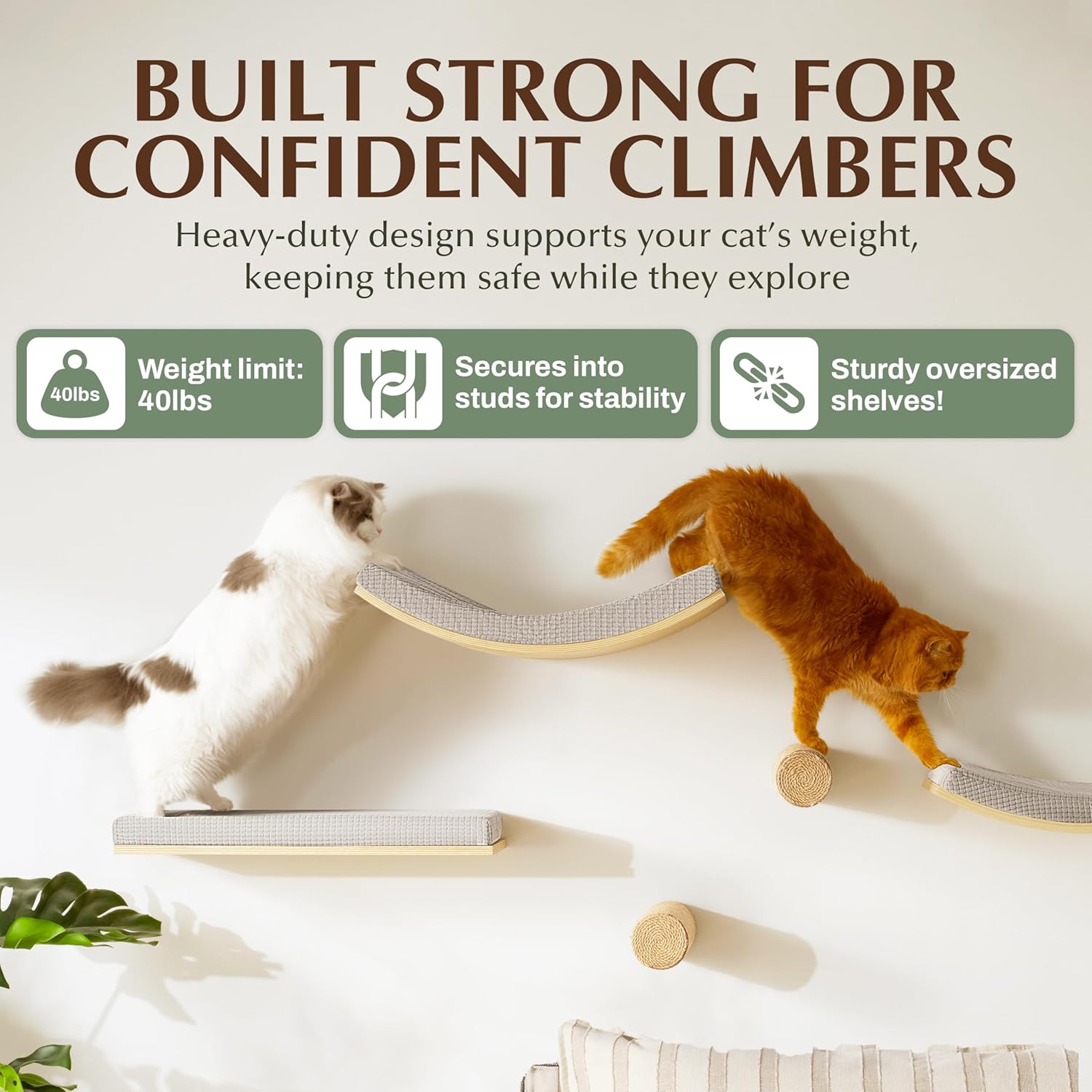 Extra Large 23.6”×14.6” CALLICO HAVEN- Stylish Cat Wall Shelves with Curved Design, Modern Wall-Mounted Cat Tree Hammock with Soft Cushion, Sturdy/Hidden Mounts, Washable Cover, Sleek Design -C Shape