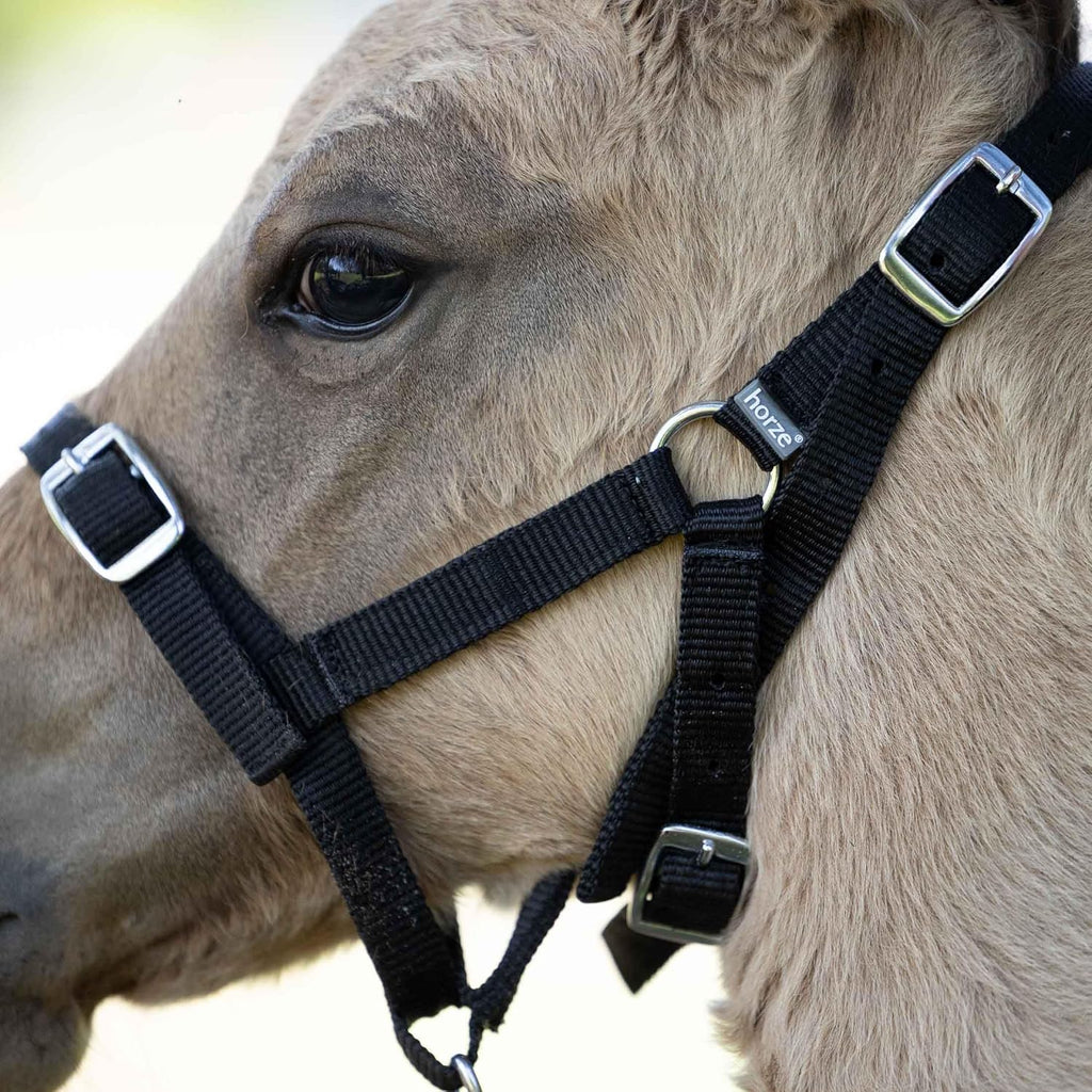 HORZE Adjustable Nylon Horse Halter for Foals, Colts, Fillies, Mini Horse Halter | Comfortable Small Horse Halter with Sturdy Buckles - Black - Foal