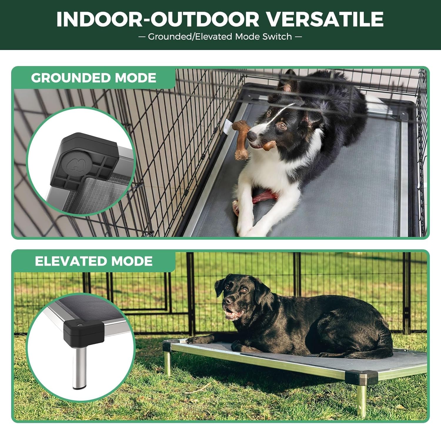 FXW TitanNest Chew-Proof Elevated Dog Bed, Raised Cot for Indoor/Outdoor/Camping Use, Durable & Washable Padded Pet Bed for Large Dogs, 47.0" L x 29.0" W x 7.3" H, Black