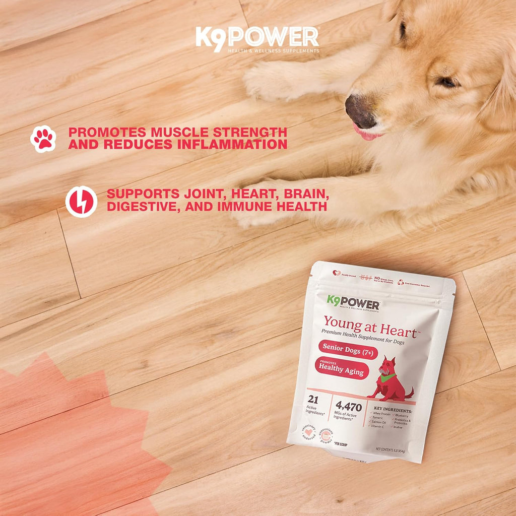 K9 Power Young at Heart Senior Dog Multivitamin 1 lb – Supplement for Brain Heart, Vision & Mobility Support in Senior Dogs - Pack of 2
