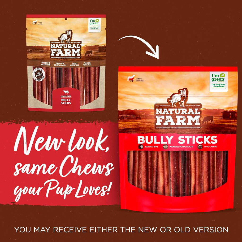 Natural Farm Odor-Free Thick Bully Sticks (12”, 10-Pack) All-Natural Long-Lasting Dog Chews, 100% Beef Pizzle, Grass-Fed, Grain-Free, Protein for Muscle Development & Energy, Perfect for Large Dogs