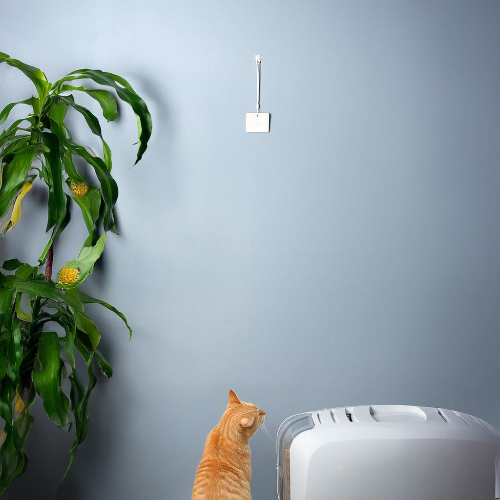 Odin Litter Box Odor Eliminator – Neutralizes Smells at the Source with Patented Tech – Light Citrus Scent – Safe, Long-Lasting, Works with Any Litter