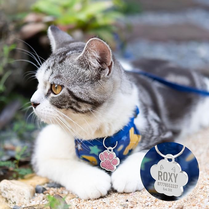 EDSG Cat Dog Tags Personalized for Pets, Dog Name Tags Cat Name ID Tag - Image 4