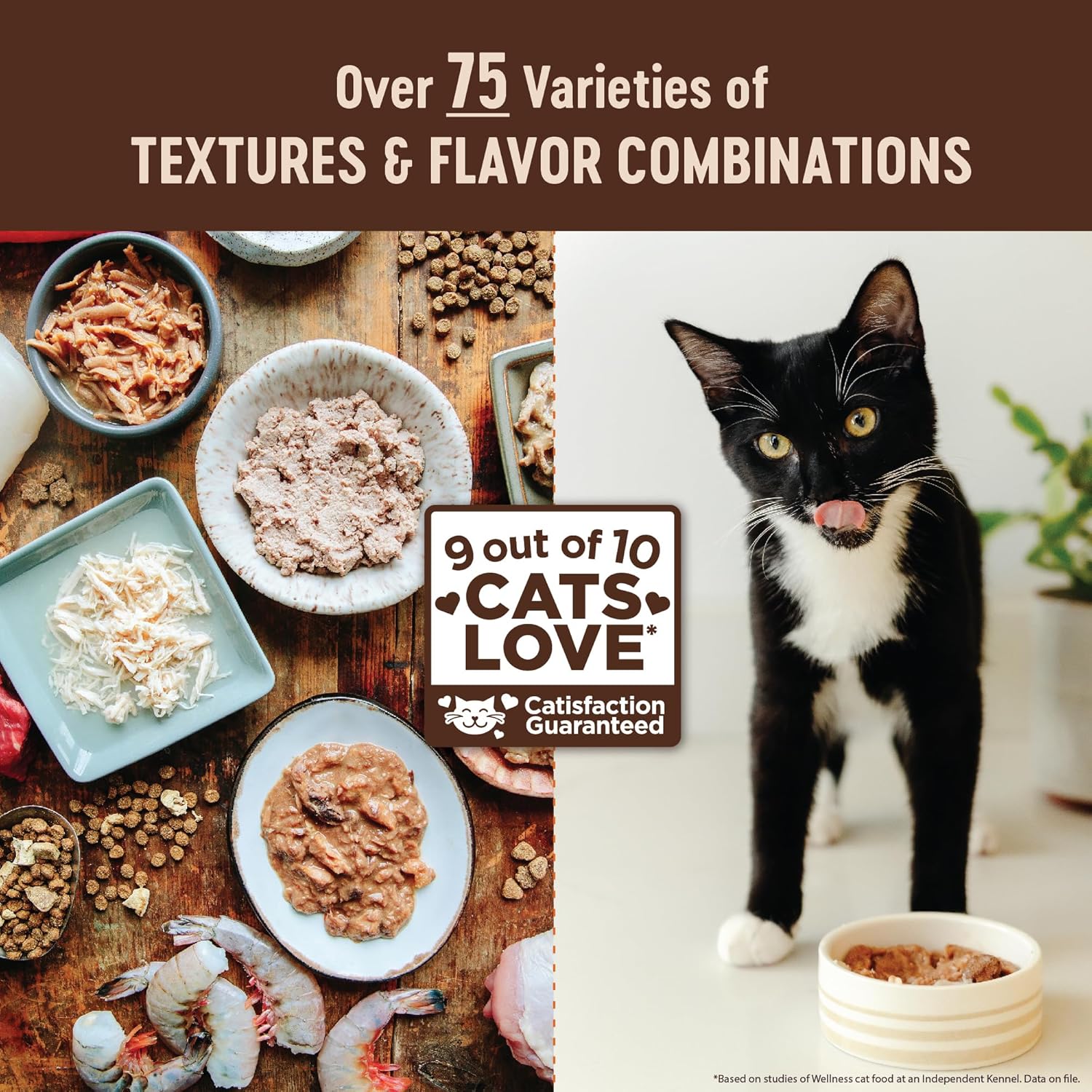 Wellness CORE+ Skin & Coat Pate Adult Wet Cat Food, Natural, Protein-Rich, Grain Free, 2.8 Ounce, 12 Pack (Duck & Chicken)