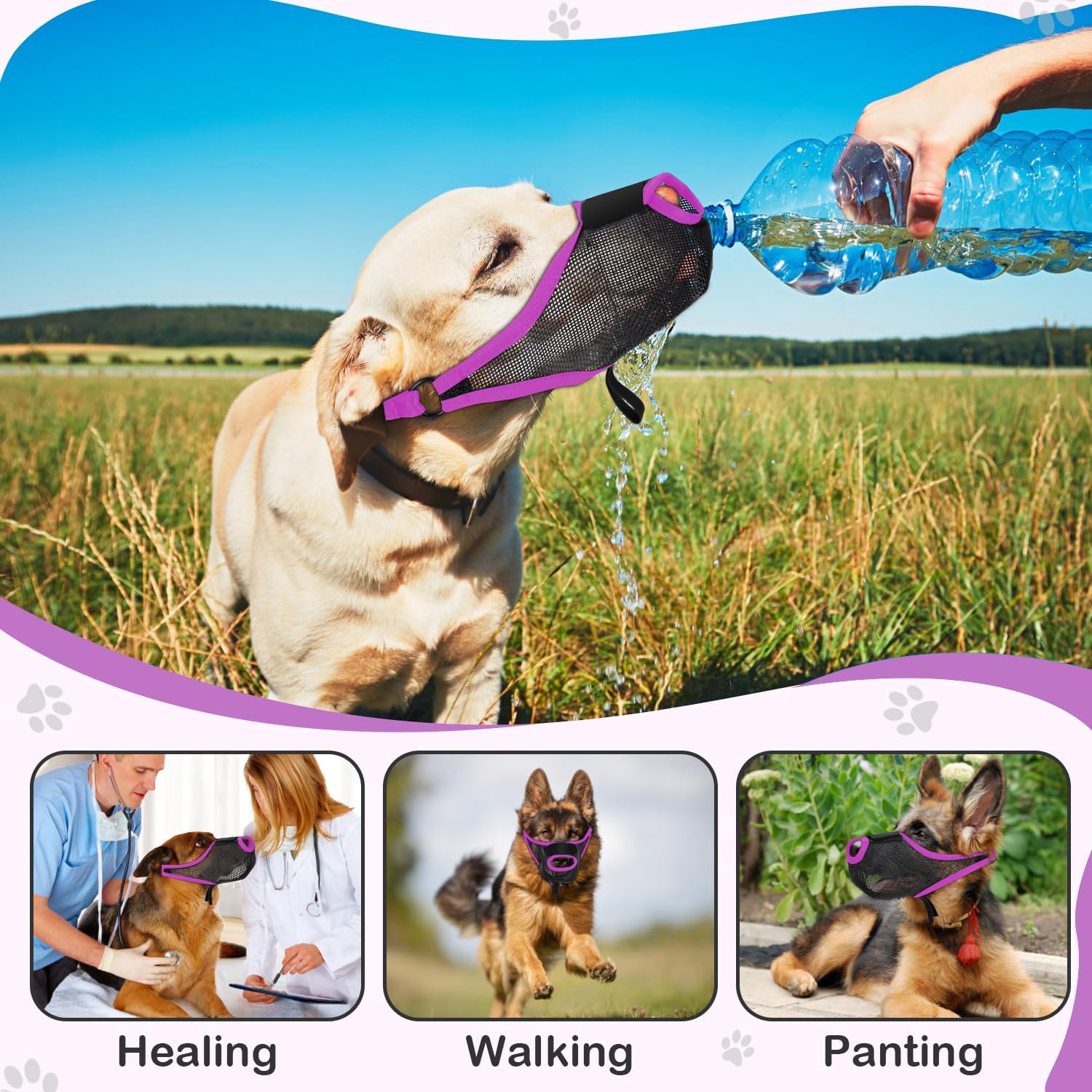 Dog Muzzle, Soft Air Mesh Muzzle for Small Medium Large Dogs Anti Biting Barking Chewing Scavenging, Breathable Adjustable Loop Pets Muzzle with Front Opening Design Allows Panting Drinking(Purple,XL)