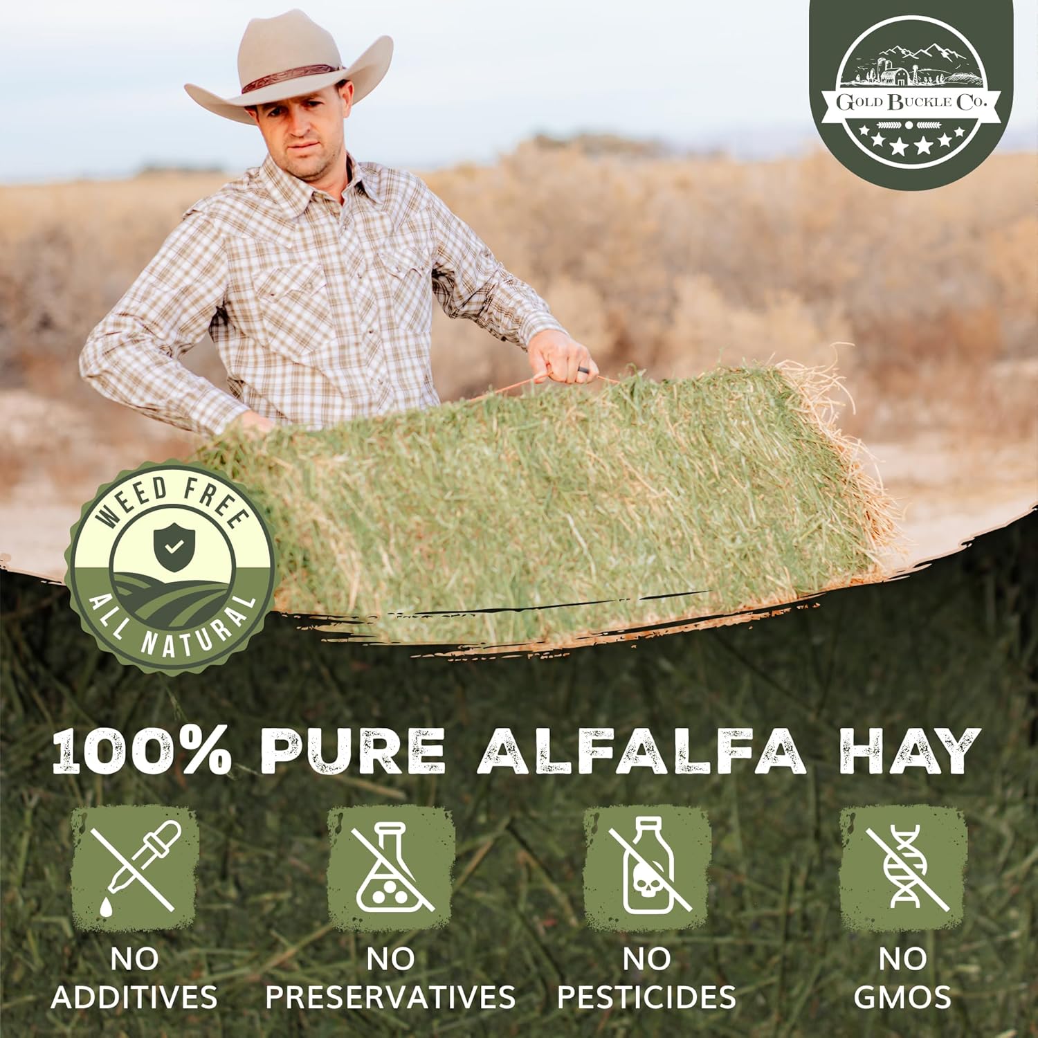 10lb Freshly Dried Organic Alfalfa Hay for Guinea Pigs, Rabbits, Chinchillas, Goats, Hamsters & Ferrets, Small Animal Food Rich in Protein & Fiber, Hand-Selected, Hand sorted, USA Grown