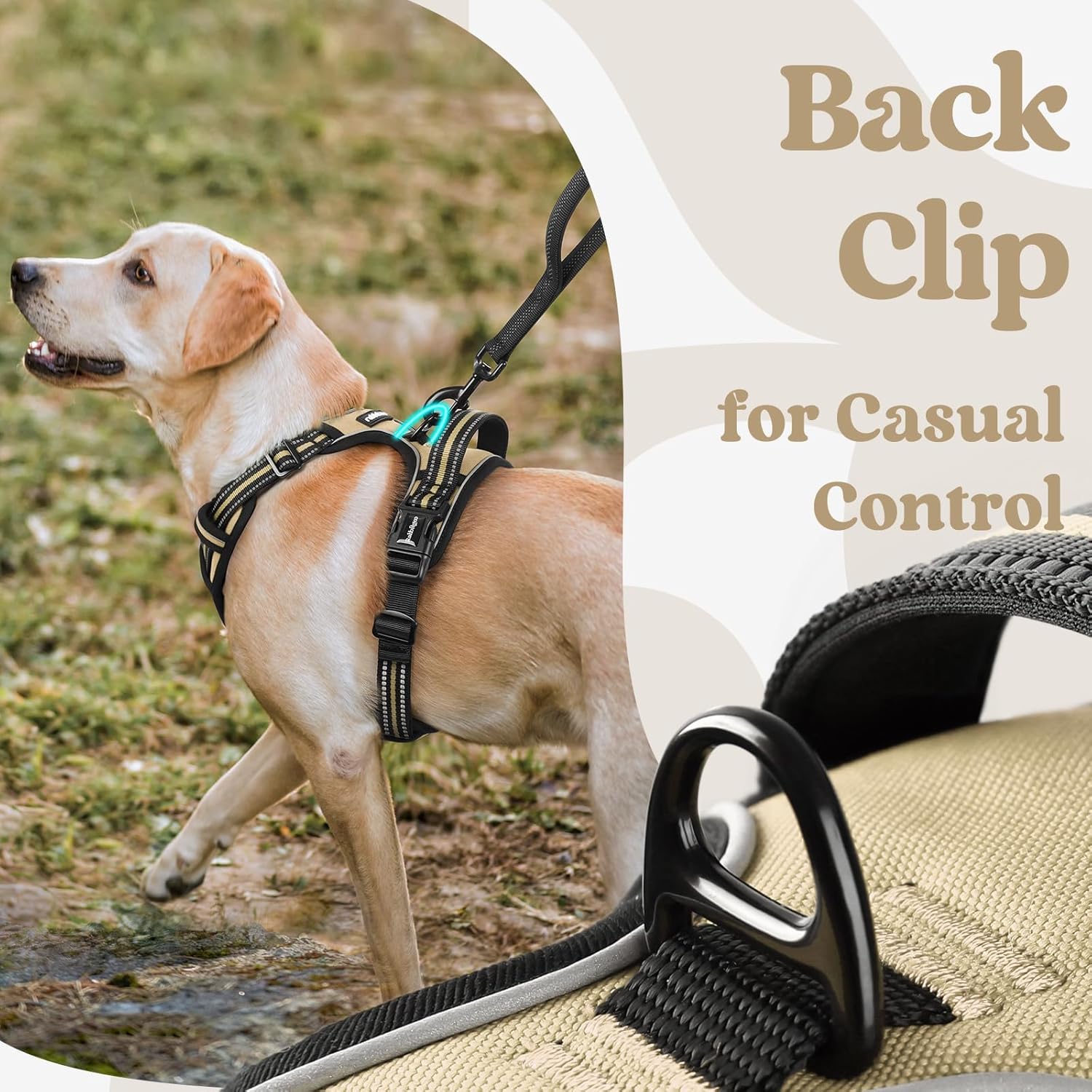 rabbitgoo Dog Harness Small Sized, No Pull Pet Harness with 3 Buckles, Adjustable Soft Padded Vest with Control Handle, Walking Reflective Pet Vest for Small Dogs, Beige, S