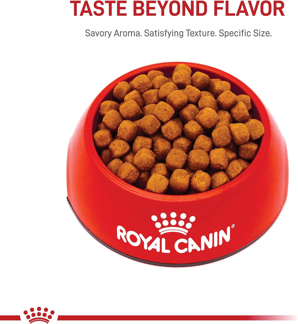 Royal Canin Maine Coon Breed Adult Dry Cat Food, 6 lb bag