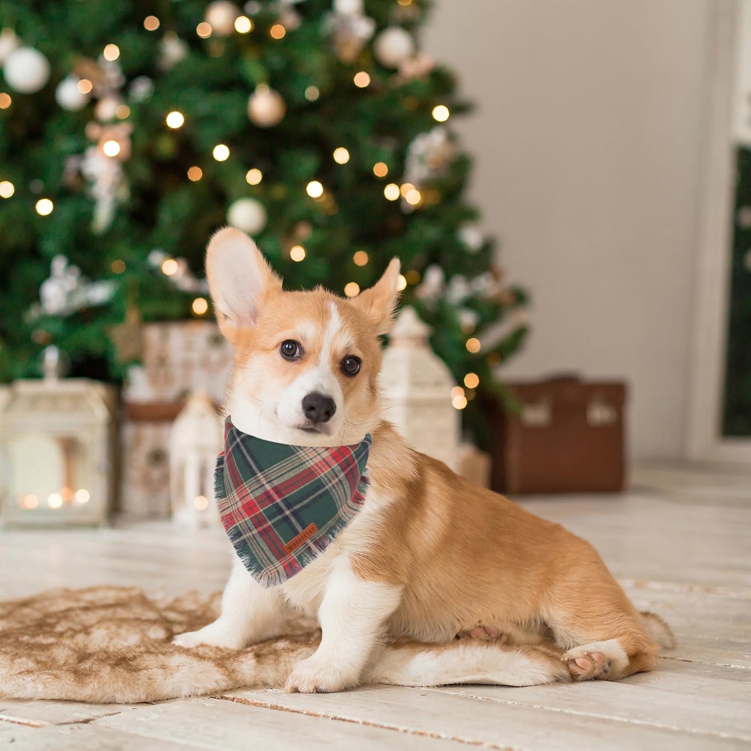 ADOGGYGO Christmas Dog Bandanas with Tassels Edges, Stylish Plaid Dog Christmas Scarf Bib, Multiple Sizes Offered, Plaid Bandanas for Medium Large Dogs (Large)