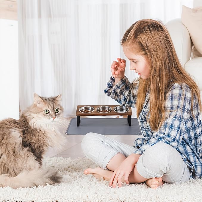 Upgraded Elevated Cat Bowls - Image 7