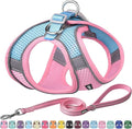 AIITLE Step in Dog Harness and Leash Set by AIITLE-FORPETSBETTERLIFE