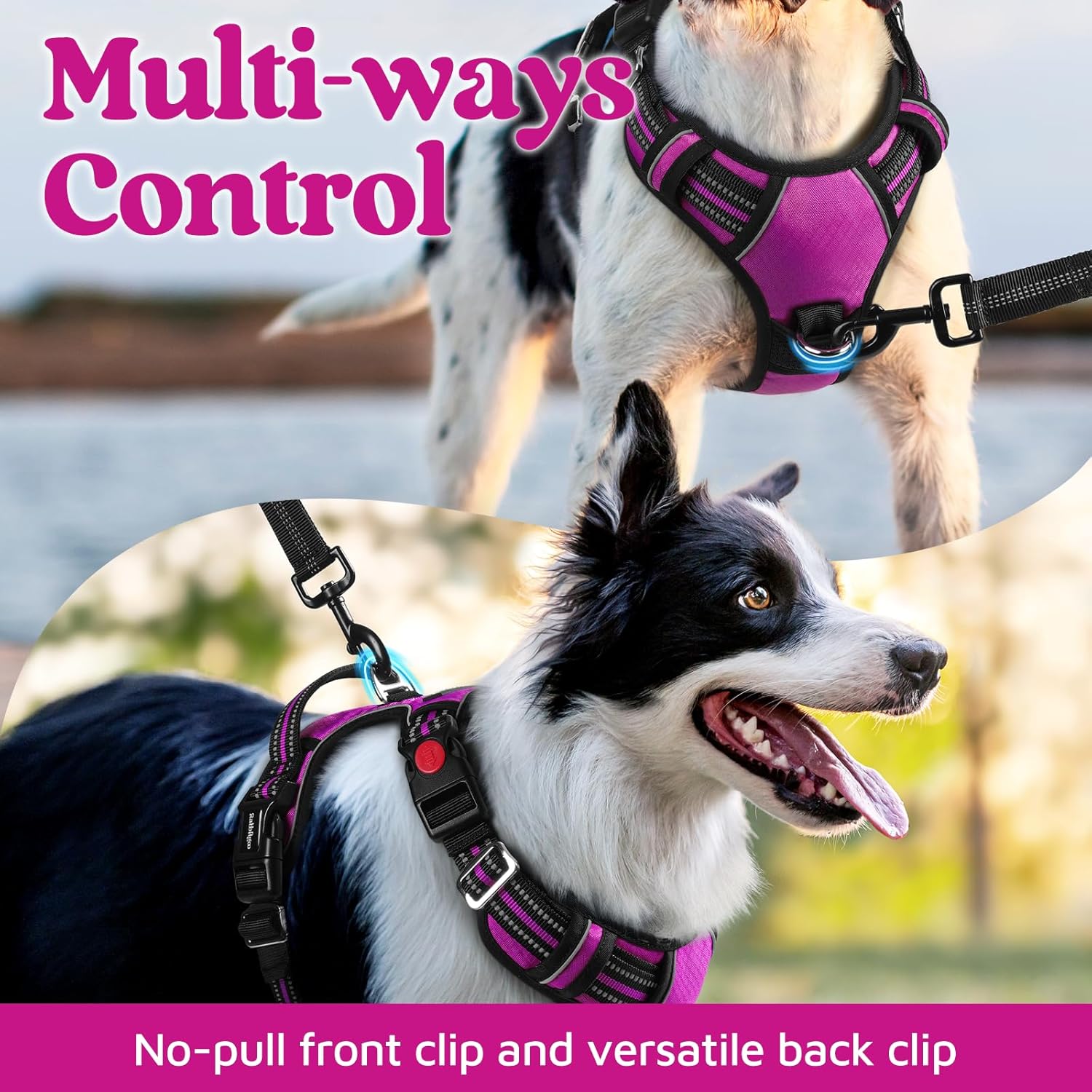 rabbitgoo Dog Harness for Large Dogs, No Pull Pet Vest with 3 Buckles, Adjustable Soft Padded Pet Harness with Easy Control Handle and Reflective Strips, Purple, L
