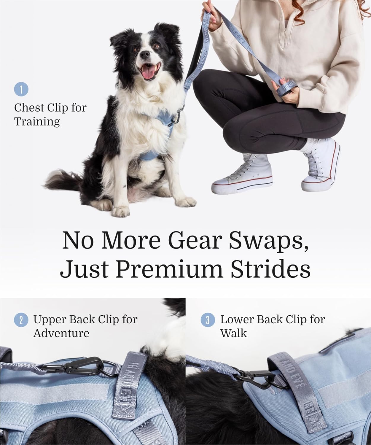 2025 New Edition, Fei & Eve MagEase Dog Harness - 3-Second Magnetic Buckles | 3-Point No-Pull Control | Heavy-Duty 900D Nylon | Dual Safety Handles | Breathable Mesh | Adjustable Fit | Medium, Blue