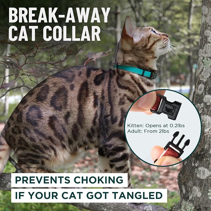 OutdoorBengal Green Cat Collar Breakaway, Soft Padding - Image 2