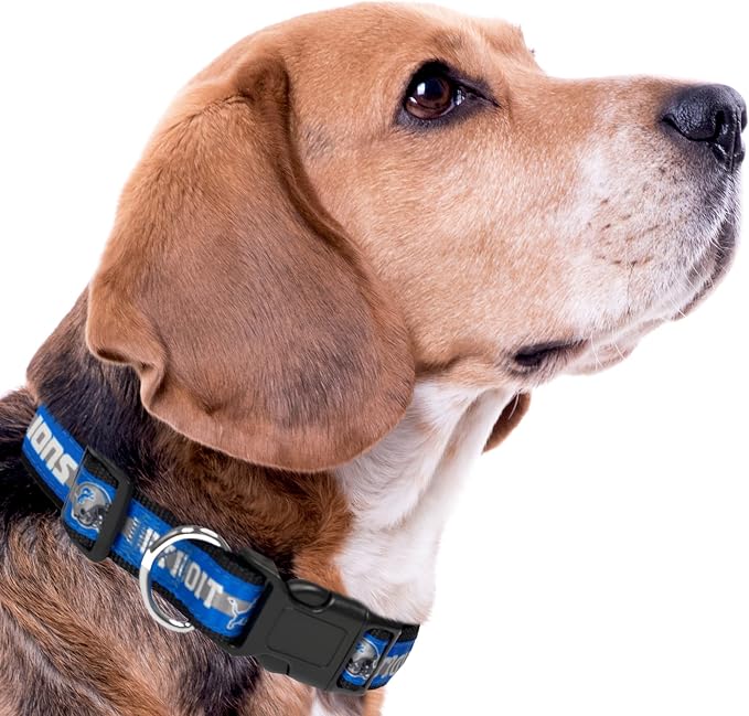 NFL PET Collar Detroit Lions Dog Collar, Small Football Team Collar - Image 7