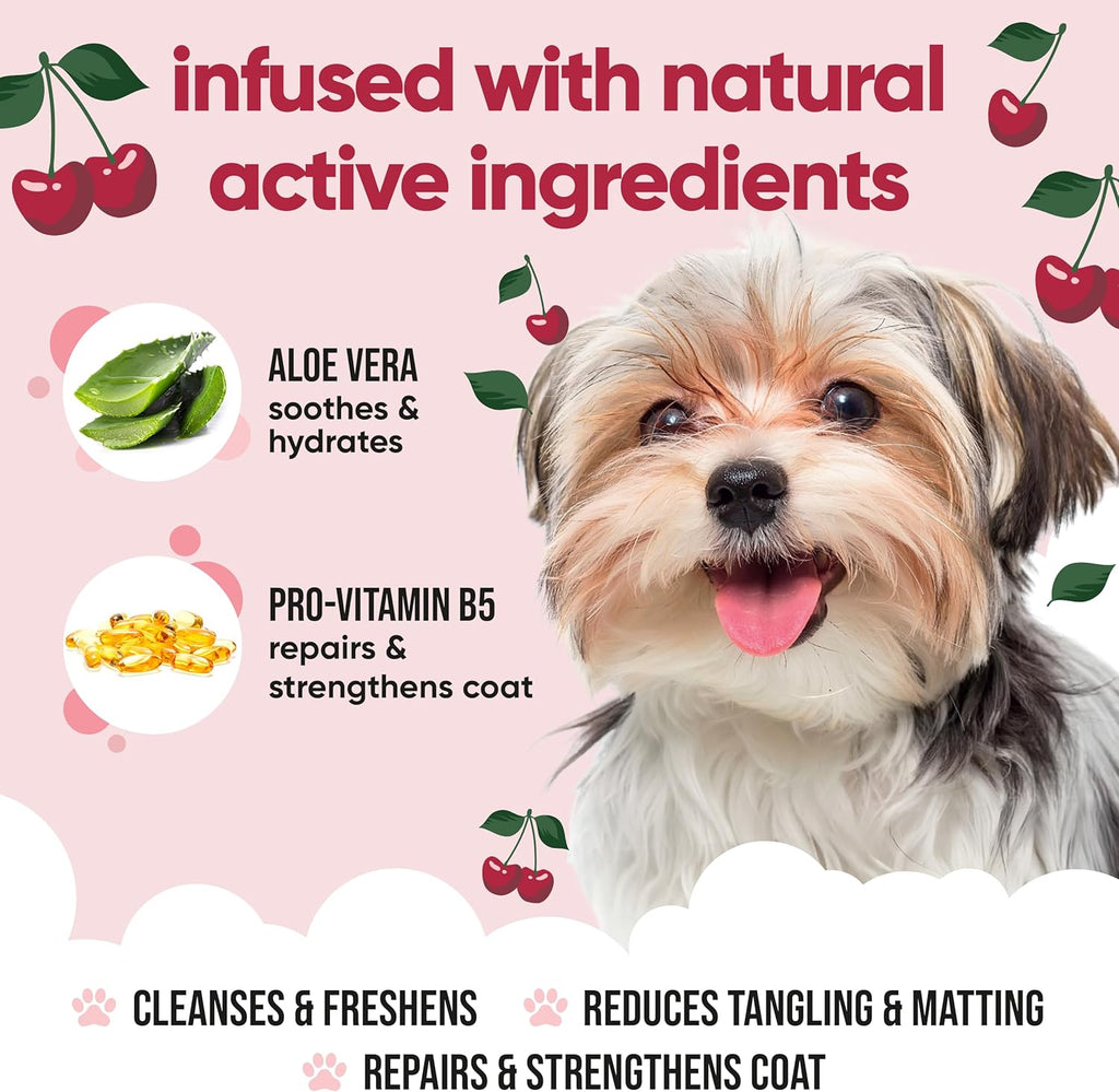 Black Cherry Dog Shampoo by Buddycare | Dry Skin & Itchy Skin Relief for Smelly Dogs | Deep Cleansing for Dogs Puppy Sensitive Skin | Dog Shampoo & Conditioner | with Aloe & Vitamin B5 (16.90oz)