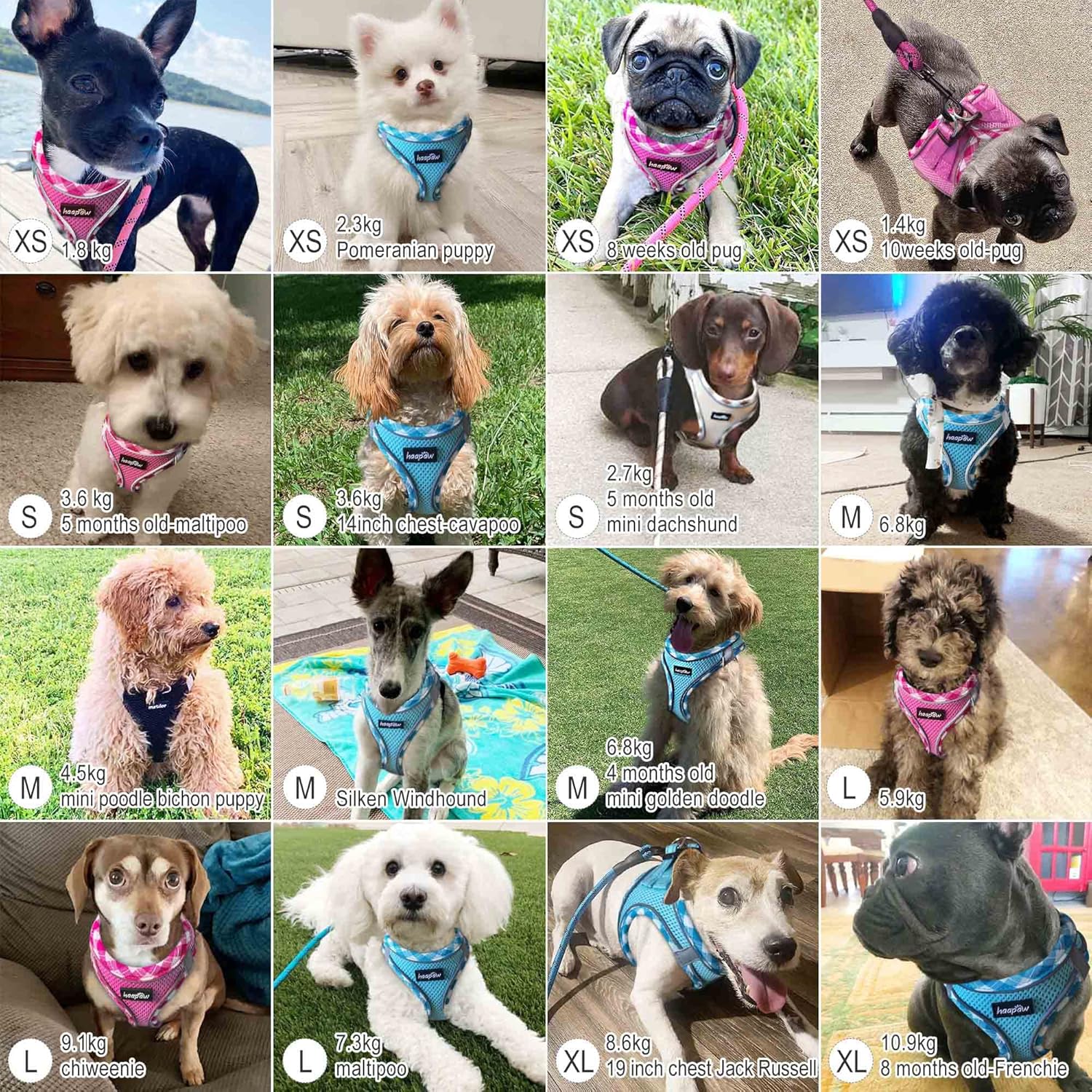 haapaw Dog Harness with Leash Set, No Pull Adjustable Reflective Step-in Puppy Harness with Thickened Padded Vest for Extra-Small/Small Medium Dogs