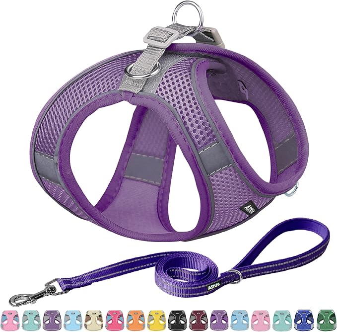 AIITLE Easy Walk Dog Harness and Leash Set by AIITLE-FORPETSBETTERLIFE