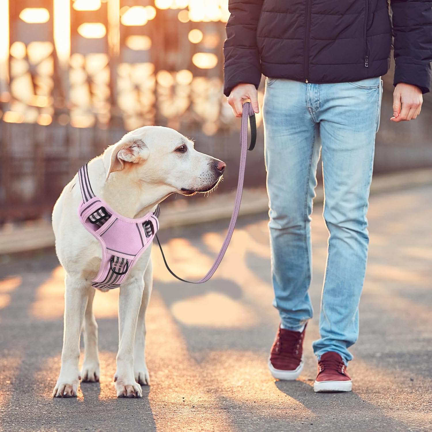 BUMBIN Dog Harness for Large Dogs, No Pull Adjustable No Choke Pet Vest with Dog Leash Fit Smart Reflective Pet Walking Harness for Training Easy Control Soft Handle Pink L