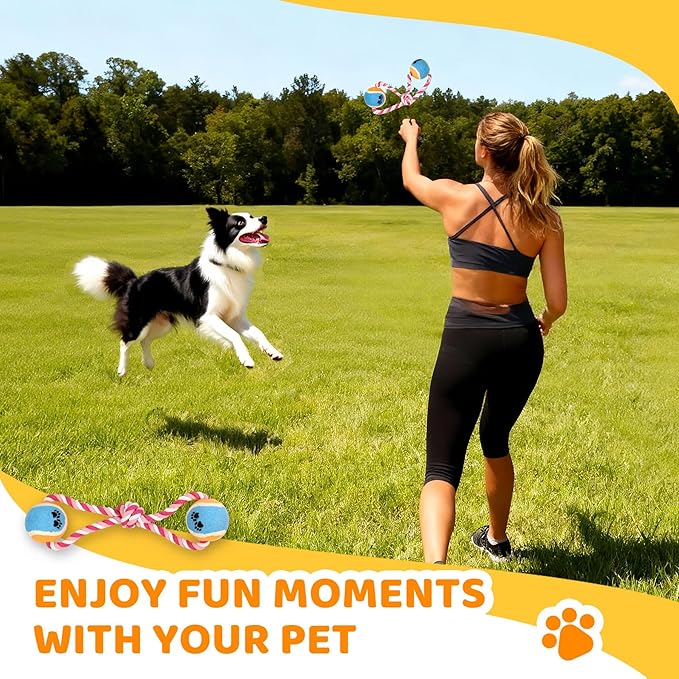 Dog Agility Course Backyard Set - Image 7