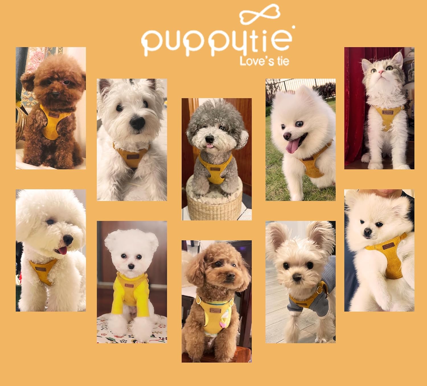 Puppytie No Pull Dog Harness with Multifunction Dog Leash,Soft Adjustable No Choke Escape Proof Pet Harness Vest for Medium Dogs or Large Dogs,Yellow,M