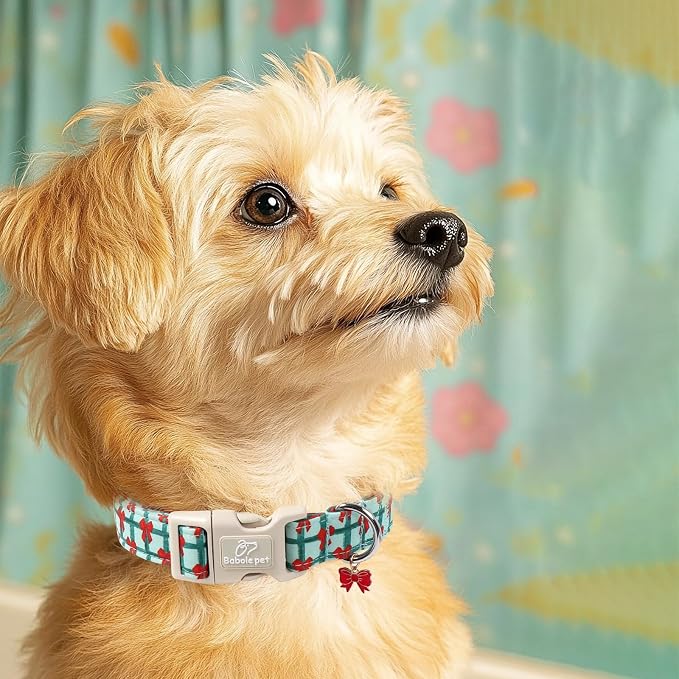 Christmas Dog Collar for Puppy Small Dogs - Image 7