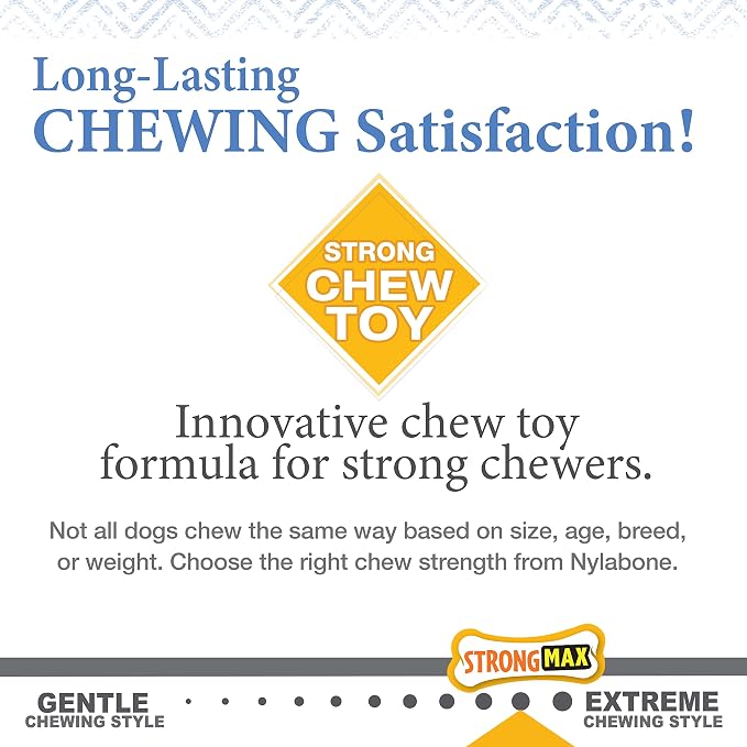 Nylabone Gourmet Style Stick Strong Chew Toy - Image 7