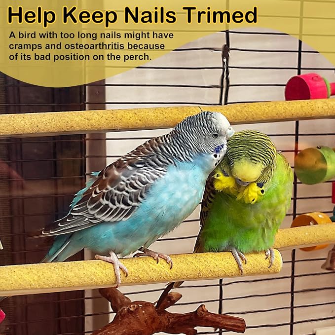 S&X 24-Pack Sand Perch Covers for Parakeets Canaries Finches & Other Small Birds - Image 2