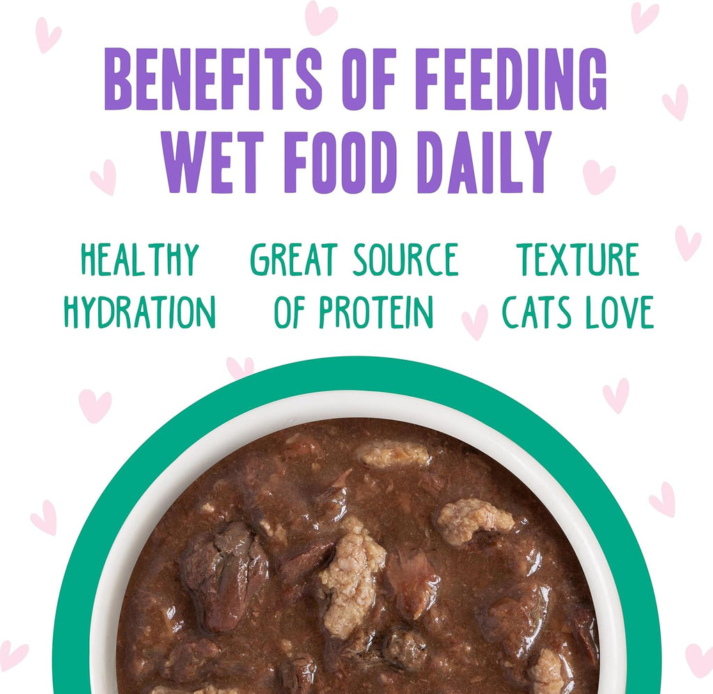 Weruva B.F.F. OMG - Best Feline Friend Oh My Gravy!, Tuna & Turkey Tell Me with Tuna & Turkey, 2.8oz Can (Pack of 12)