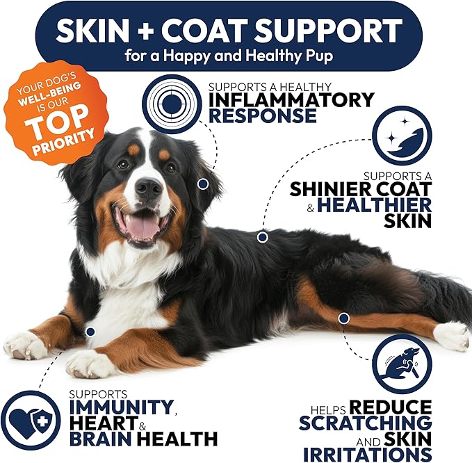 Omega 3 Fish Oil for Dogs - Image 4