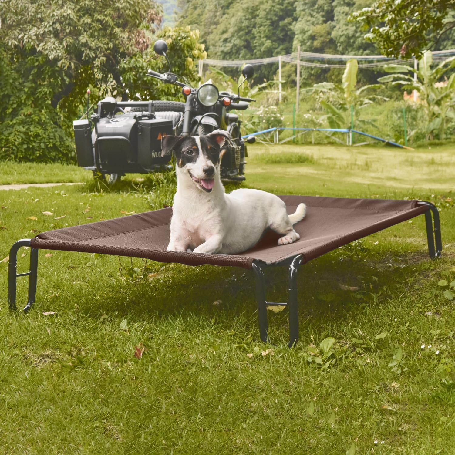 pettycare Elevated Outdoor Dog Bed - Cots Beds for Medium Dogs, Waterproof, Raised Cot, Easy to Assemble, Cooling with Teslin Mesh, Durable, Non Slip, Up to 40 lbs, Brown