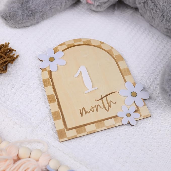 Daisy 3D Baby Monthly Milestone, Wooden Baby Milestone Signs, Monthly Milestone Wood Discs, Baby Milestone Discs (Caro Card)